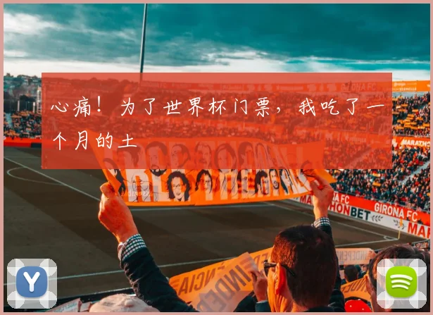 心痛!为了世界杯门票,我吃了一个月的土