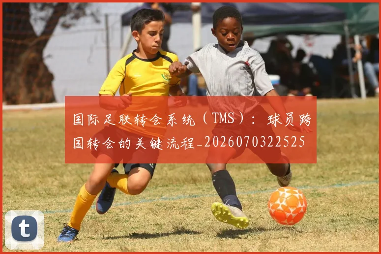国际足联转会系统（TMS）：球员跨国转会的关键流程_20260703225254_20260719171011
