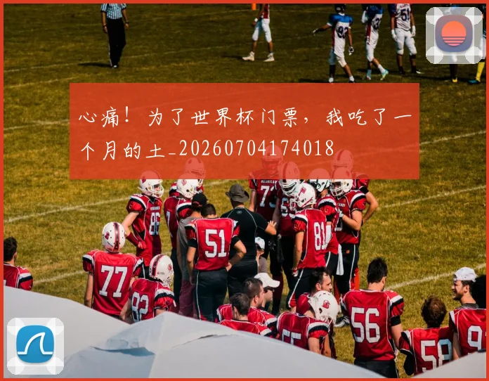 心痛！为了世界杯门票，我吃了一个月的土_20260704174018